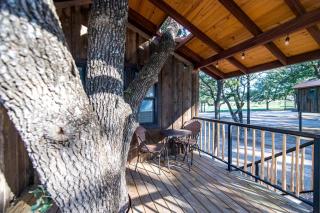 Tree House for Two, Ideal for a Glamping Getaway near Baylor, Texas - 6