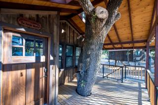 Tree House for Two, Ideal for a Glamping Getaway near Baylor, Texas - 4