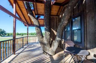 Tree House for Two, Ideal for a Glamping Getaway near Baylor, Texas - 3