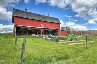 Serene Woodland Retreat with Natural Beauty Near the Pocono Mountains, Pleasant Mount, Pennsylvania - 7