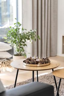 Nordic Style Villa - 100m2 Quality Villa near Santa Claus Village, 3BDR, Wi-Fi, Parking, Sauna - 5
