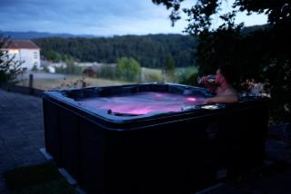 Getaway in the Gantrisch region Wellness - 9