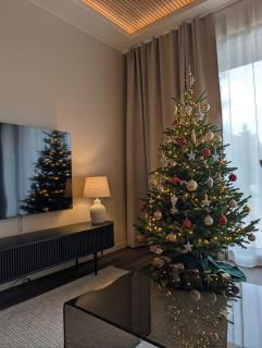 Villa Northern - with private Jacuzzi and Sauna - Brand new - Near Airport & Santa Claus Village - 7