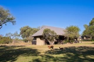 Inyati Game Lodge - 5