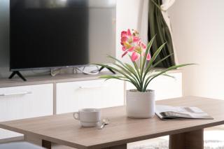 Sika Crystal Apartment - 1
