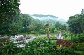 Coorg Island Cafe Resort - 6