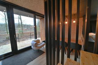 Forest Cube Relax - 4