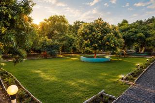 Danak Farm - 2