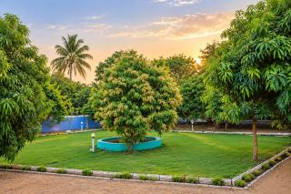 Danak Farm - 3