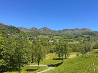 Le Refuge du Griou -rando-trail-VTT-brame du cerf - 5