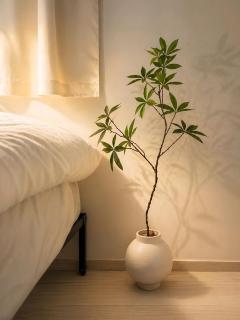 6 minutes by subway from central Seoul, 3-room private house, close to Namsan, Myeongdong, Dongdaemun, Apgujeong, and Seongsu - 5