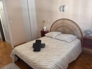 Appartement offrant une superbe vue imprenable sur le Puy Courny - 9
