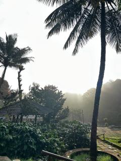 Coorg Island Cafe Resort - 7