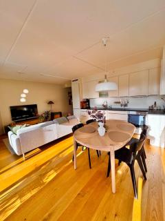 Spacious apartment in Tromsø with fireplace, balcony and mountain views - 6