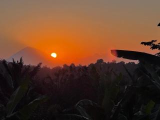 Bali jungle retreat - Tabanan - 9
