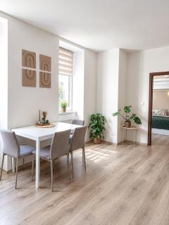 Apartment in Karlovy Vary - 2