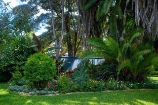 Nester Gardens - 6