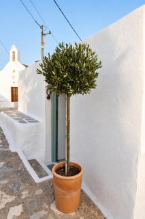Slow Living in Apano Meria, Syros - 9