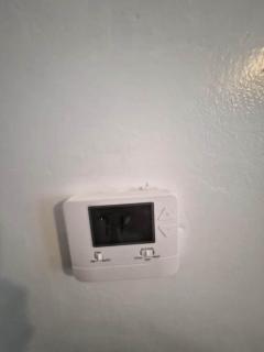 Hamtramck Near DT Det 2BR 1BA Kitchen, Living Space - 5