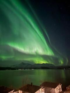 Private Cabin in Malangen Northern Lights and Fjord - 7
