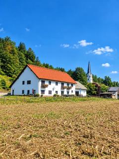 Appartements und Vinoteka DAVID - 9