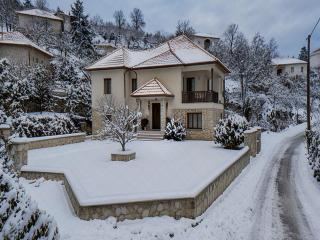 Winter holiday house in Arachova - 0