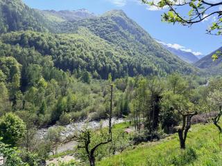 I cinque viaggiatori - 2