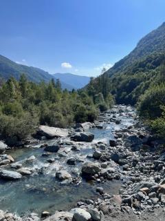 I cinque viaggiatori - 3