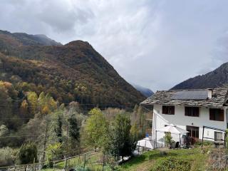 I cinque viaggiatori - 4