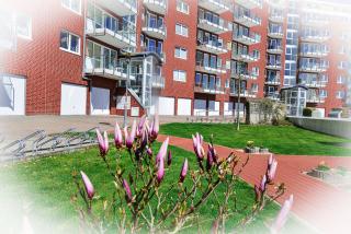 Haus Nordseebrandung NB65 - 4