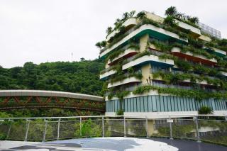Vela Cat Ba Beach Resort - Flamingo Sea & Sand - 6