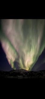 Nordlys Skaland - 8