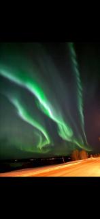 Nordlys Skaland - 5