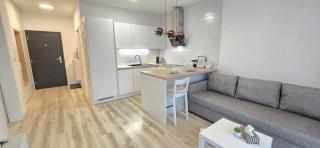 Premium family apartman - Free parking - 9