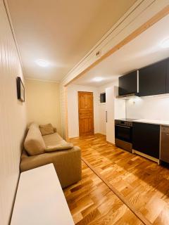 Cozy apartment for commuters and travelers - 5