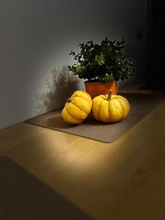 Gemütliches Maisonette-Apartment nahe dem Zentrum von Nürnberg - 6