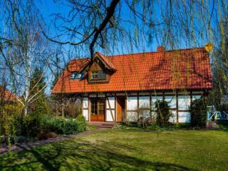 Comfortable holiday villa with terrace and garden - 1