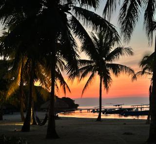 Beachfront-Little House By The Sea Roatan - 5