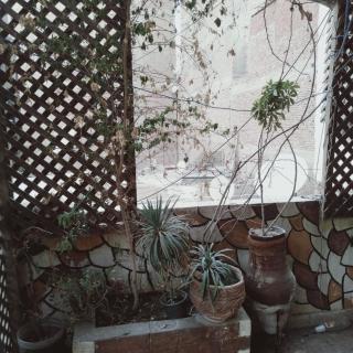 Cozy Flat - 3 Mins to Pyramids & GEM - 9