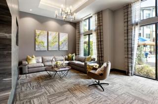 Stunning Pool View 2 Bedroom Apartment in Spring, TX - 6