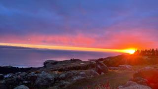 Villa Rustica Retreat - Dunedin - 0