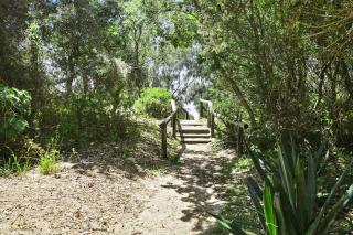 Absolute beachfront at Castaways- Sunshine Coast - 5