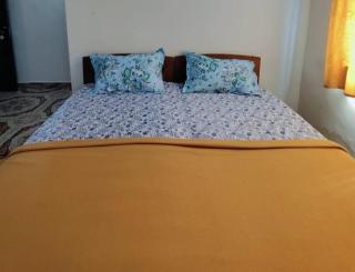 Krishna Guest house - 3