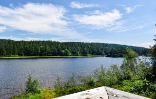 Stunning Home In Hornnes With House Sea View - 1