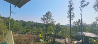 Clover Resort - 2
