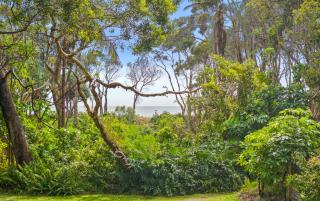 Driftwood on Home Beach - Absolute Beachfront - 0