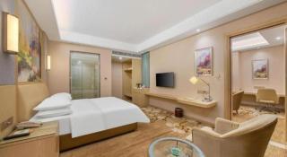 Venus International Hotel Guangdong Foshan Longjiang Exhibition Center 2nd Branch - 3