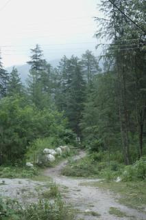 Hotel Parwati Nest - 5