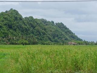 Homestay Tok Melah - 7