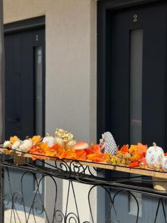 Casa Crisan - 8